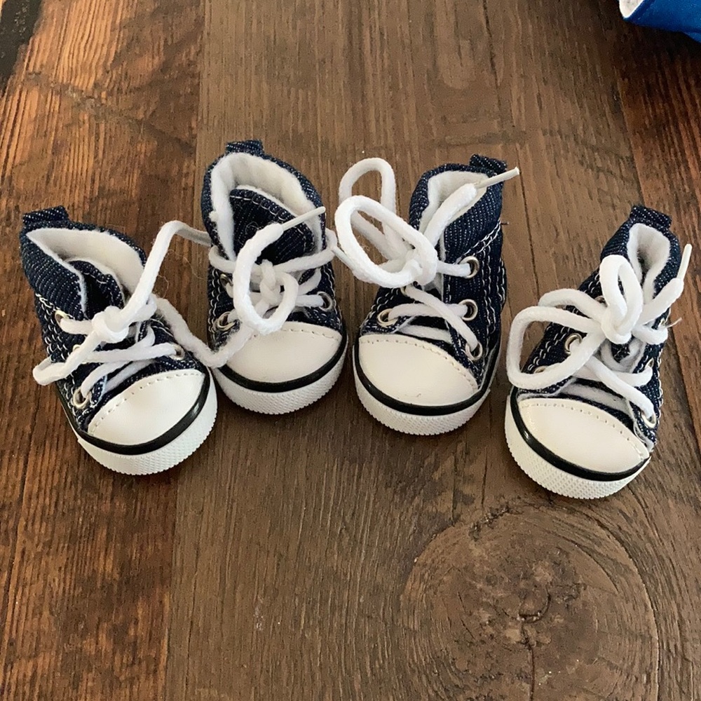 Small doggie converse shoes